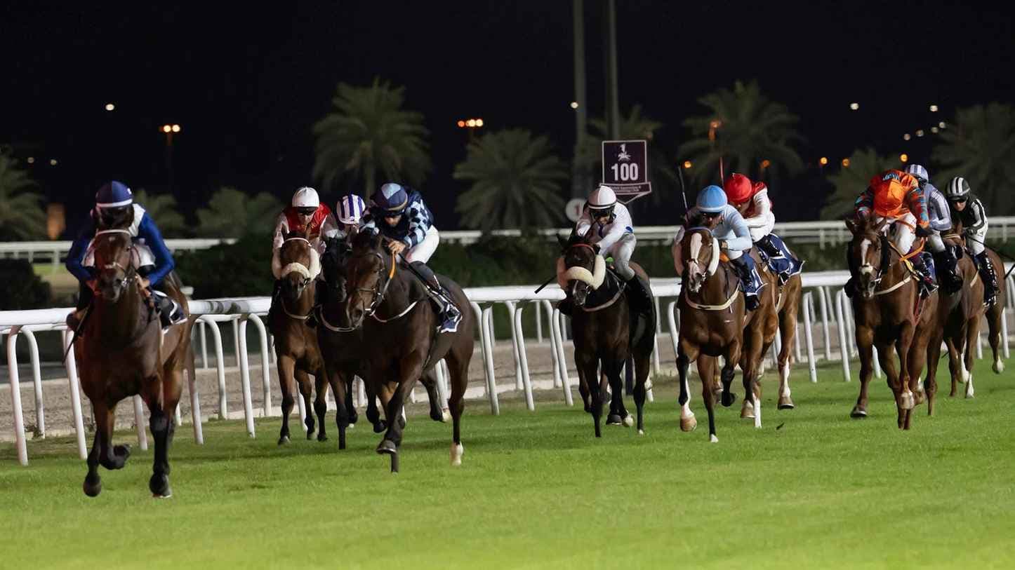 هيئة الإمارات لسباق الخيل