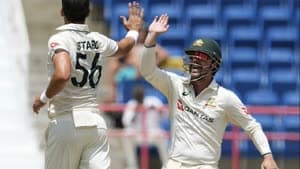 ميتشل ستارك