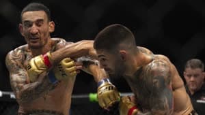 هولواي - توبوريا