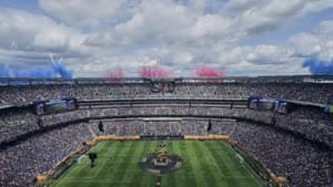 ملعب متلايف