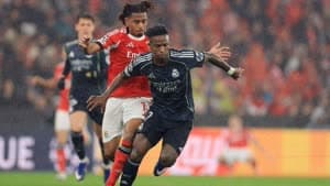 باريرو وفينيسيوس