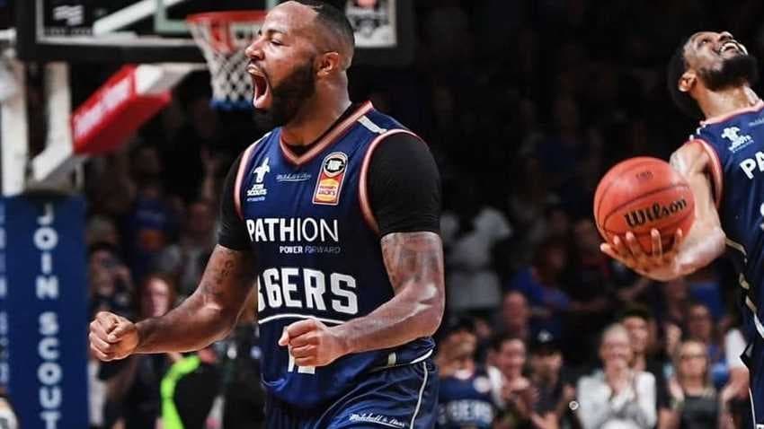 شانون شورتر