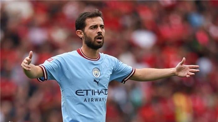 برناردو سيلفا