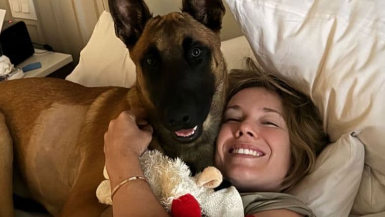 كولينز وكراش