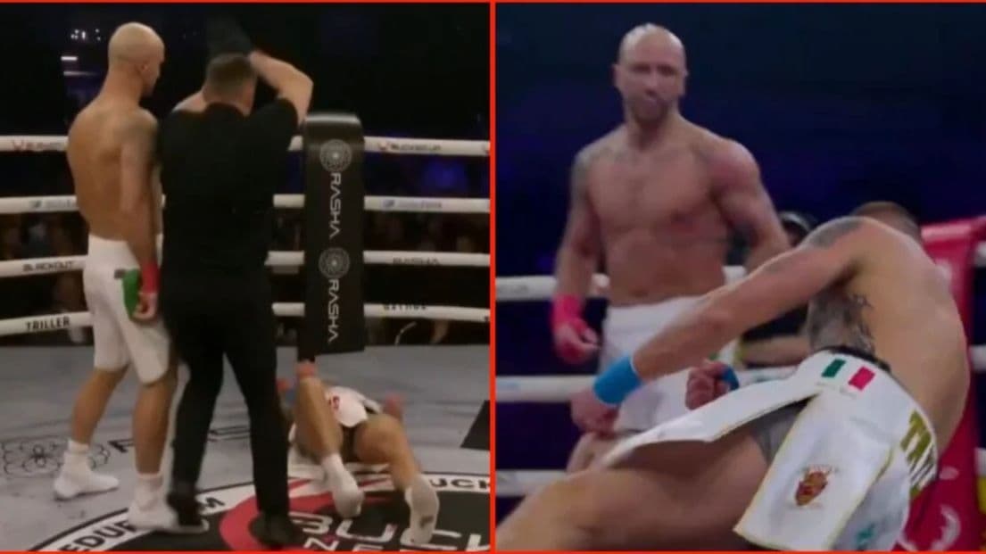 ستيفي تايلو