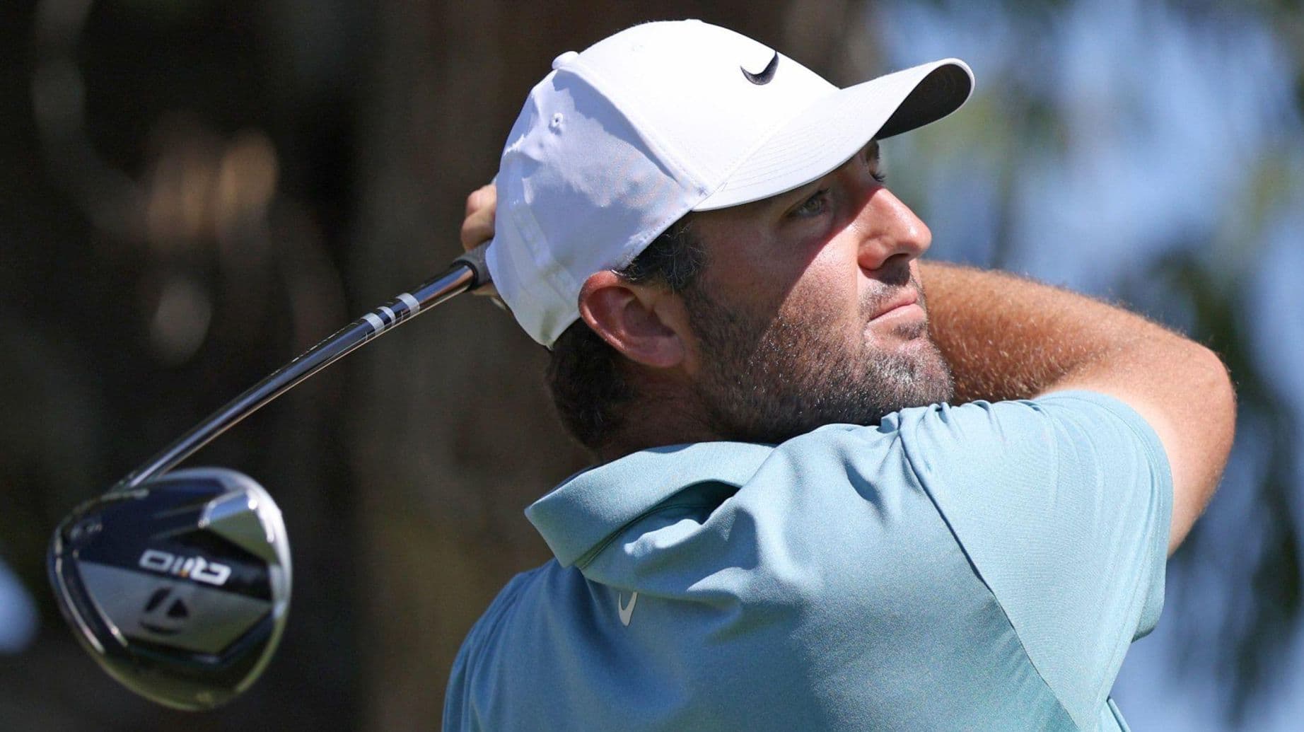 سكوتي شيفلر