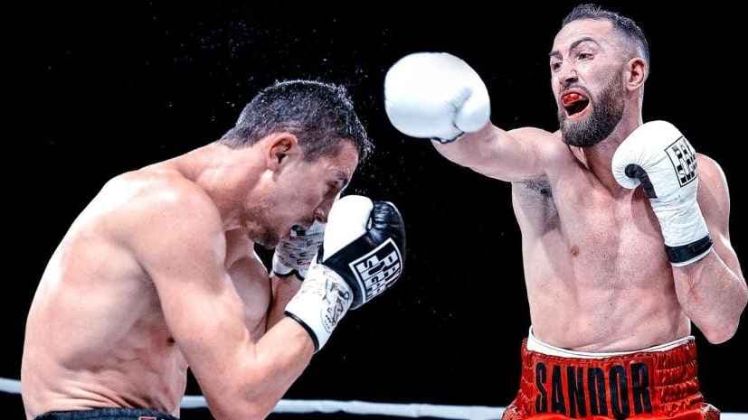 ساندور مارتين