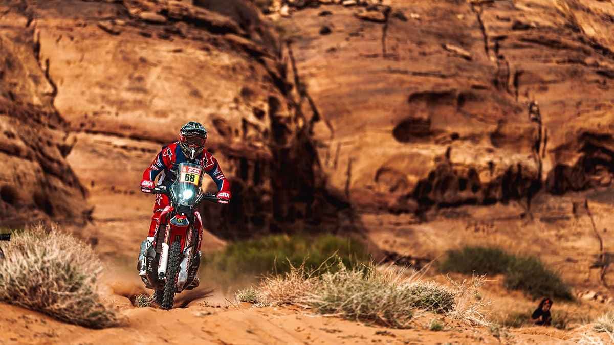 توشا شارينا