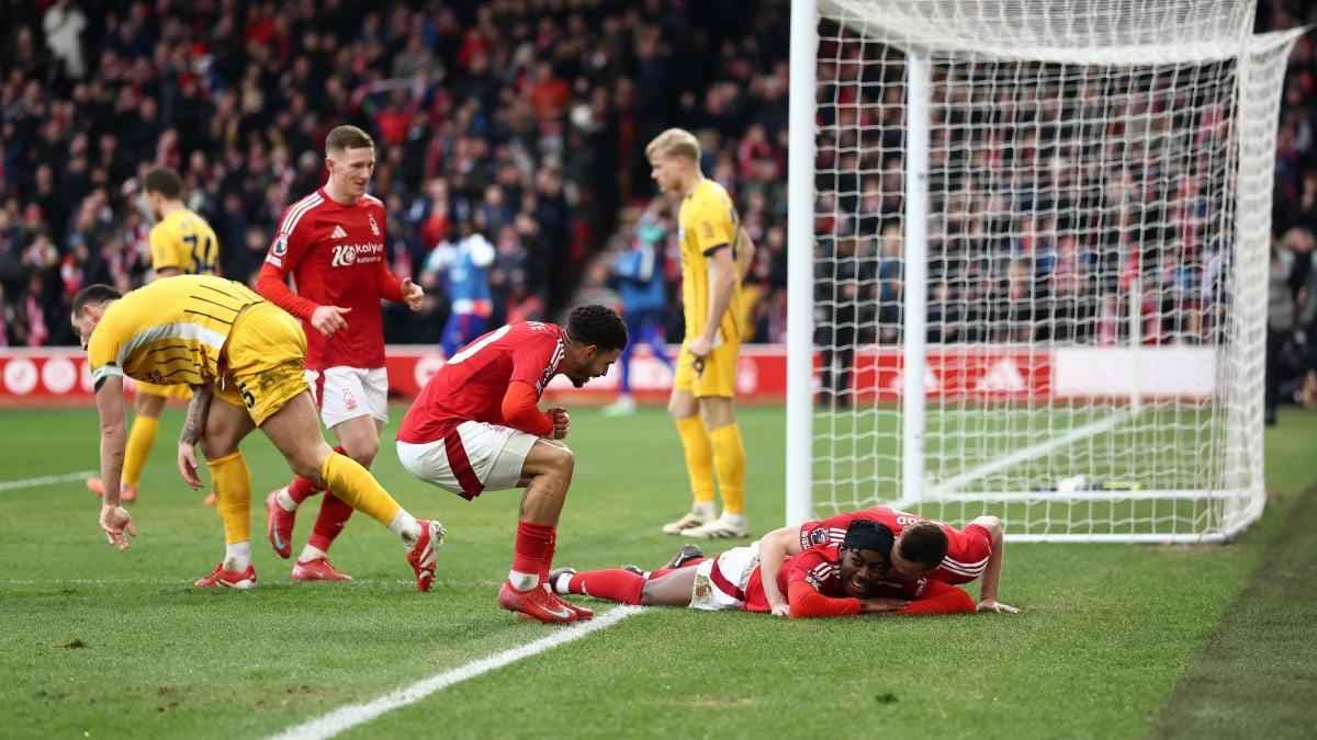 إليوت أندرسون وجيبس-وايت